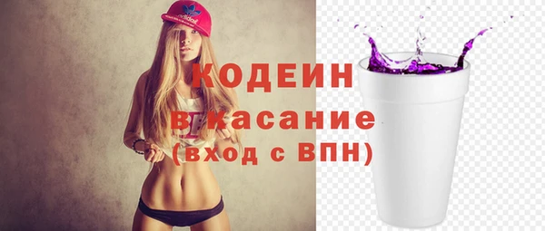 сатива Гусь-Хрустальный