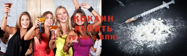 сатива Гусь-Хрустальный