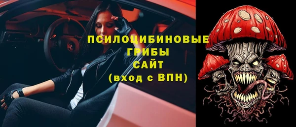 сатива Гусиноозёрск