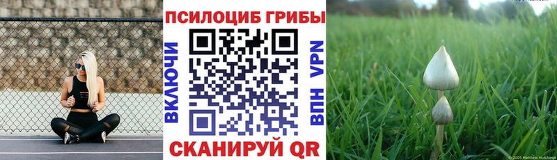 Псилоцибиновые грибы ЛСД  где можно купить   Югорск 